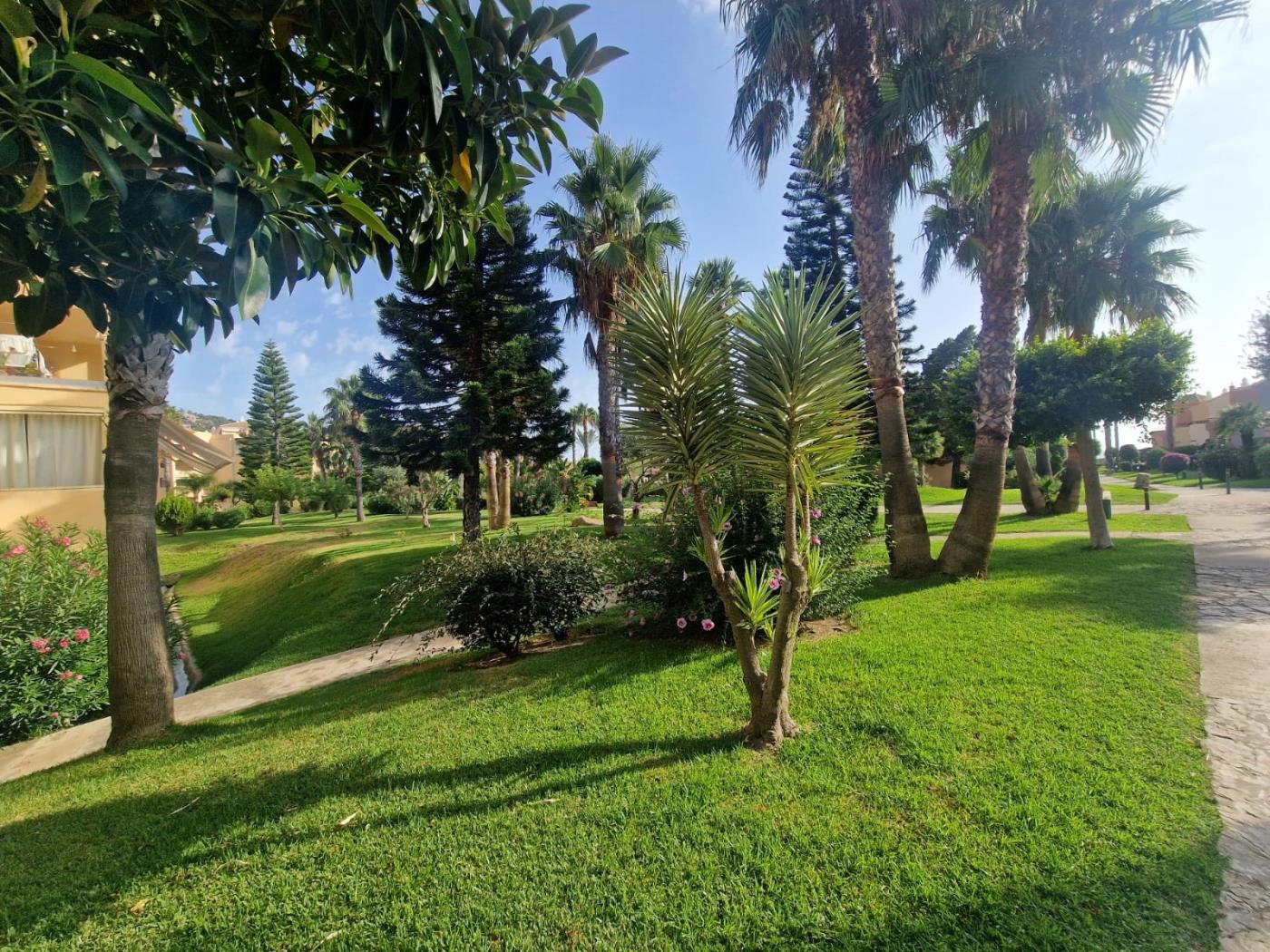 image Amplio apartamento en Urb. Jardines de Zahara- 6 Pax 19