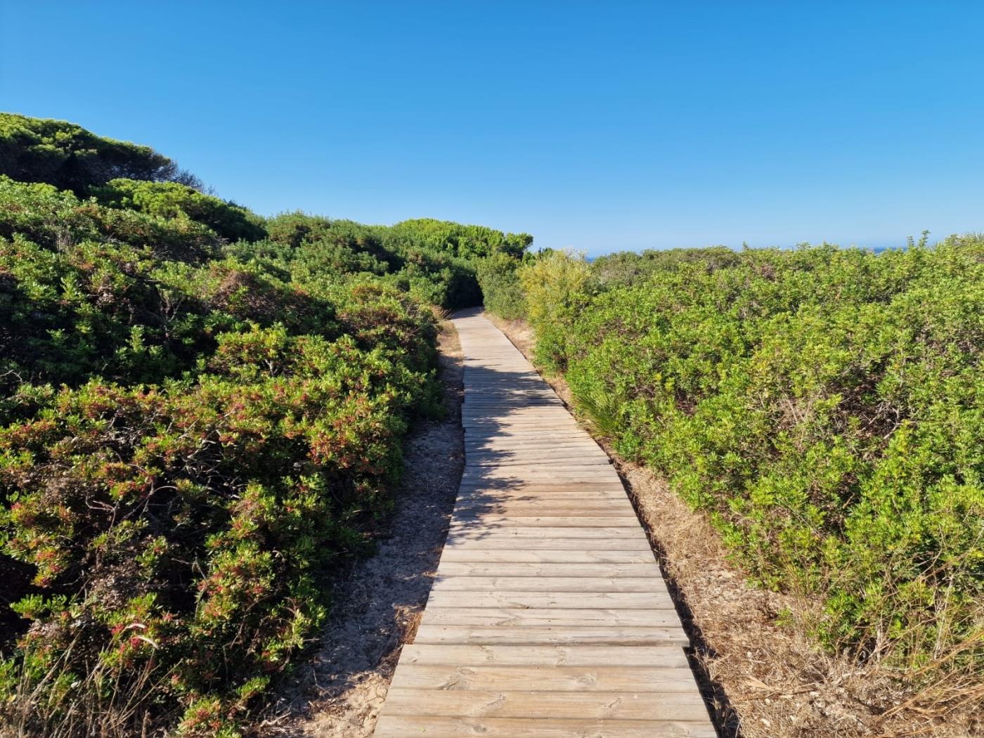 image Amplio apartamento en Urb. Jardines de Zahara- 6 Pax 27