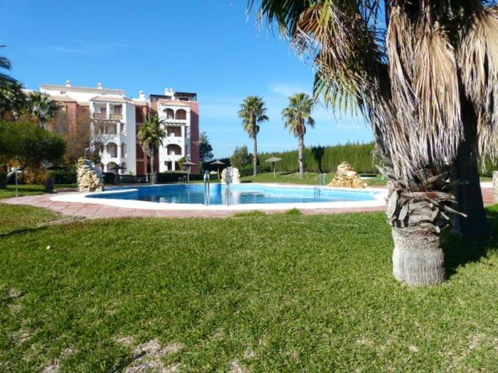 image  11