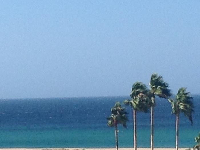 image Ático-dúplex de 1 dormitorio en Urb. Bahía de la Plata 31