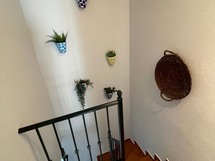 image  11