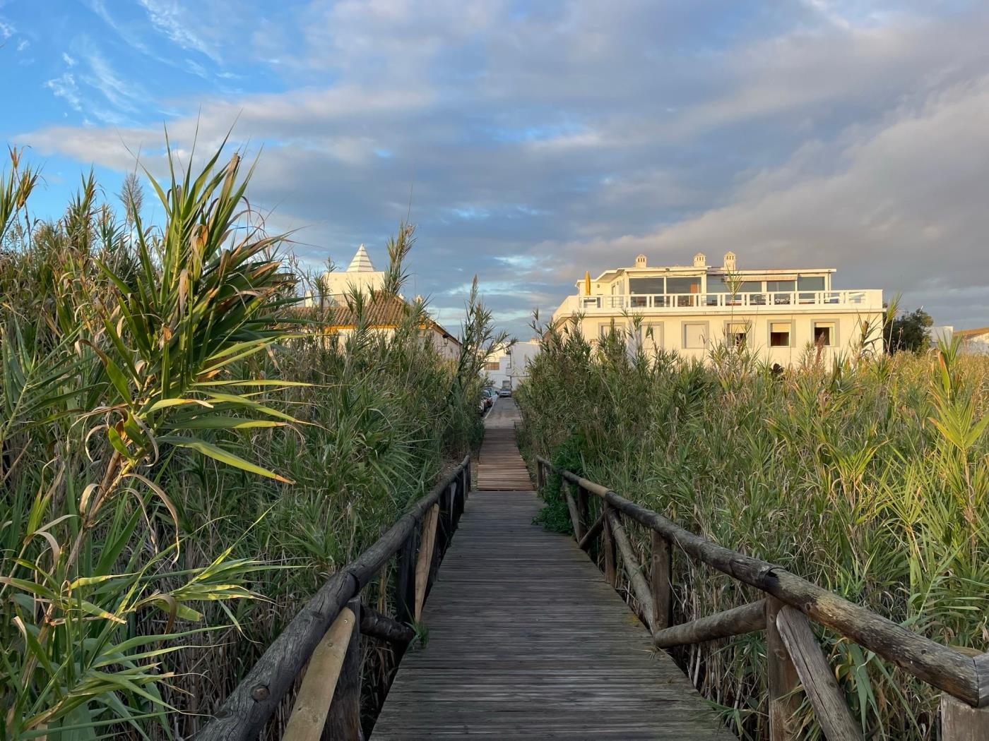 image Apartamento de 1 dormitorio en Urb. La Muralla 18
