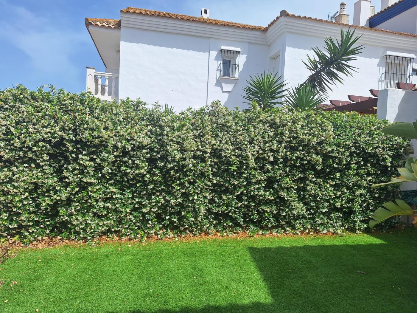 image FANTÁSTICA CASA ADOSADA EN LA TAHONA DE 3 DORMITORIOS + 2 BAÑOS. 44